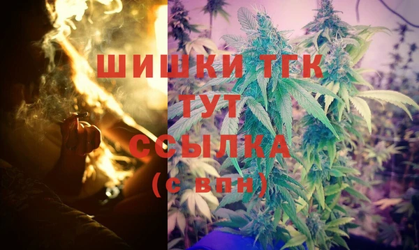 PSILOCYBIN Осинники